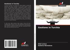 Gestione in Turchia kitap kapağı