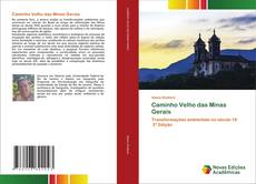 Bookcover of Caminho Velho das Minas Gerais