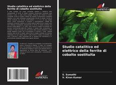Studio catalitico ed elettrico della ferrite di cobalto sostituita kitap kapağı