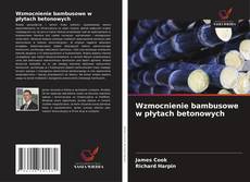 Wzmocnienie bambusowe w płytach betonowych的封面