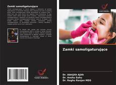 Zamki samoligaturujące的封面