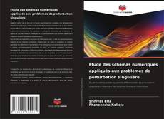 Étude des schémas numériques appliqués aux problèmes de perturbation singulière kitap kapağı