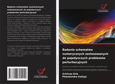 Capa do livro de Badanie schematów numerycznych zastosowanych do pojedynczych problemów perturbacyjnych 