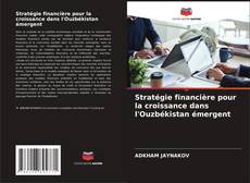 Stratégie financière pour la croissance dans l'Ouzbékistan émergent的封面