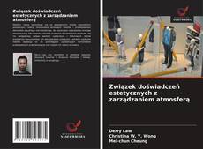 Copertina di Związek doświadczeń estetycznych z zarządzaniem atmosferą