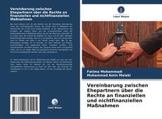 Vereinbarung zwischen Ehepartnern über die Rechte an finanziellen und nichtfinanziellen Maßnahmen的封面