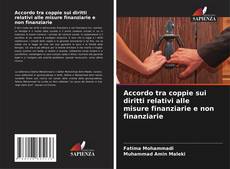 Buchcover von Accordo tra coppie sui diritti relativi alle misure finanziarie e non finanziarie