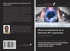 Couverture de Efecto neuroprotector de la adenosina N6- isopentanilo