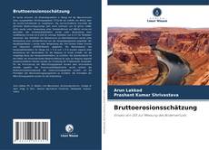 Bruttoerosionsschätzung kitap kapağı
