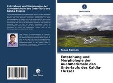 Portada del libro de Entstehung und Morphologie der Auenmerkmale des Unterlaufs des Kaldia-Flusses