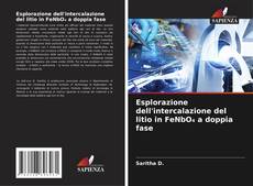 Portada del libro de Esplorazione dell'intercalazione del litio in FeNbO₄ a doppia fase