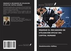 Borítókép a  MEJORAR EL MECANISMO DE UTILIZACIÓN EFICAZ DEL CAPITAL HUMANO - hoz