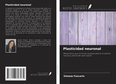 Borítókép a  Plasticidad neuronal - hoz