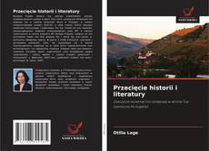 Przecięcie historii i literatury的封面