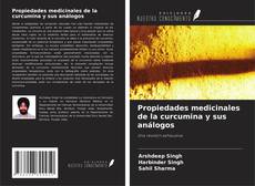 Borítókép a  Propiedades medicinales de la curcumina y sus análogos - hoz