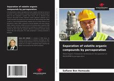Copertina di Separation of volatile organic compounds by pervaporation