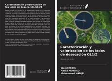 Buchcover von Caracterización y valorización de los lodos de desecación GL1/Z