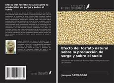 Copertina di Efecto del fosfato natural sobre la producción de sorgo y sobre el suelo