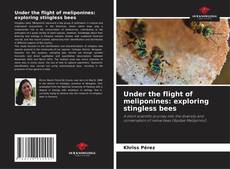 Buchcover von Under the flight of meliponines: exploring stingless bees