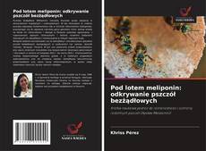 Pod lotem meliponin: odkrywanie pszczół bezżądłowych kitap kapağı