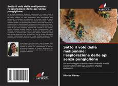 Sotto il volo delle meliponine: l'esplorazione delle api senza pungiglione的封面