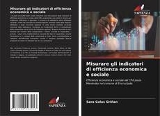 Borítókép a  Misurare gli indicatori di efficienza economica e sociale - hoz