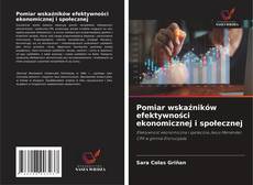 Pomiar wskaźników efektywności ekonomicznej i społecznej kitap kapağı