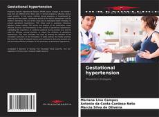 Borítókép a  Gestational hypertension - hoz
