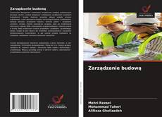 Zarządzanie budową kitap kapağı