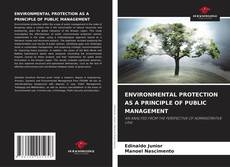 Copertina di ENVIRONMENTAL PROTECTION AS A PRINCIPLE OF PUBLIC MANAGEMENT