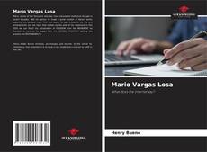 Mario Vargas Losa kitap kapağı