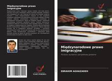 Międzynarodowe prawo imigracyjne kitap kapağı