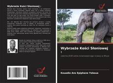 Bookcover of Wybrzeże Kości Słoniowej :