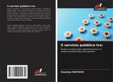 Il servizio pubblico tra: kitap kapağı