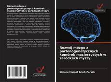 Copertina di Rozwój mózgu z partenogenetycznych komórek macierzystych w zarodkach myszy