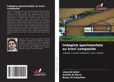 Borítókép a  Indagine sperimentale su travi composite - hoz