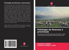 Patologia da fluorose e prevenção的封面