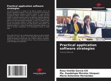 Practical application software strategies的封面