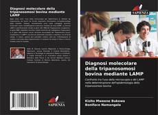 Couverture de Diagnosi molecolare della tripanosomosi bovina mediante LAMP