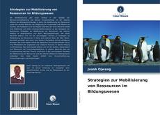 Strategien zur Mobilisierung von Ressourcen im Bildungswesen的封面