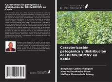 Bookcover of Caracterización patogénica y distribución del BCMV/BCMNV en Kenia