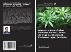 Buchcover von Algunas malas hierbas comunes en los cultivos de trigo de Chamkani, Peshawar, Kpk, Pakistán