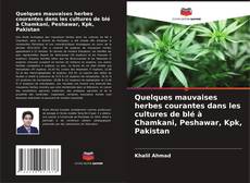 Buchcover von Quelques mauvaises herbes courantes dans les cultures de blé à Chamkani, Peshawar, Kpk, Pakistan
