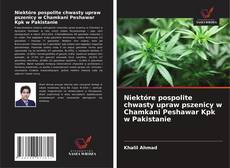 Niektóre pospolite chwasty upraw pszenicy w Chamkani Peshawar Kpk w Pakistanie的封面