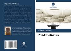 Buchcover von Projektmotivation