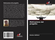Motivazione del progetto kitap kapağı