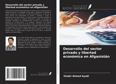 Capa do livro de Desarrollo del sector privado y libertad económica en Afganistán 