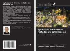 Capa do livro de Aplicación de diversos métodos de optimización 