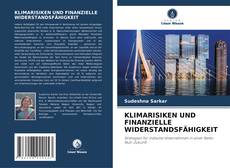 Capa do livro de KLIMARISIKEN UND FINANZIELLE WIDERSTANDSFÄHIGKEIT 