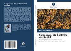 Copertina di Sargassum, die Goldmine der Karibik